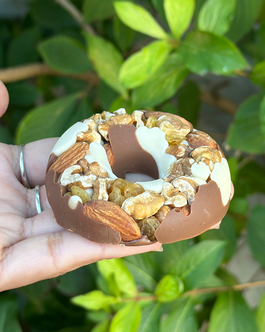 Chocolat Round Frutos secos