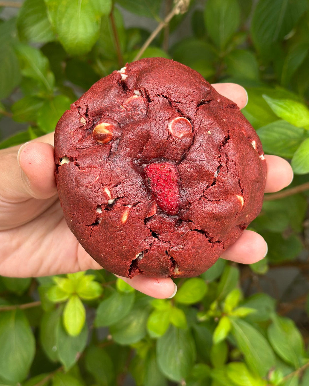 Redvelvet Waffle Frutilla - imagen 2